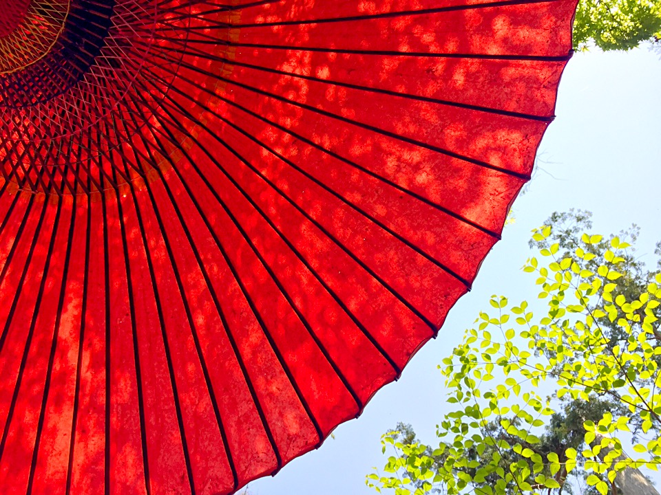 茨城県（旅行＆地域）に関するWebメディア