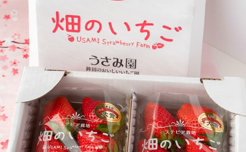 甘くてジューシーないちご。鉾田市にあるうさみ園さんで「やよいひめ」を買ってきました【溢れる果汁】